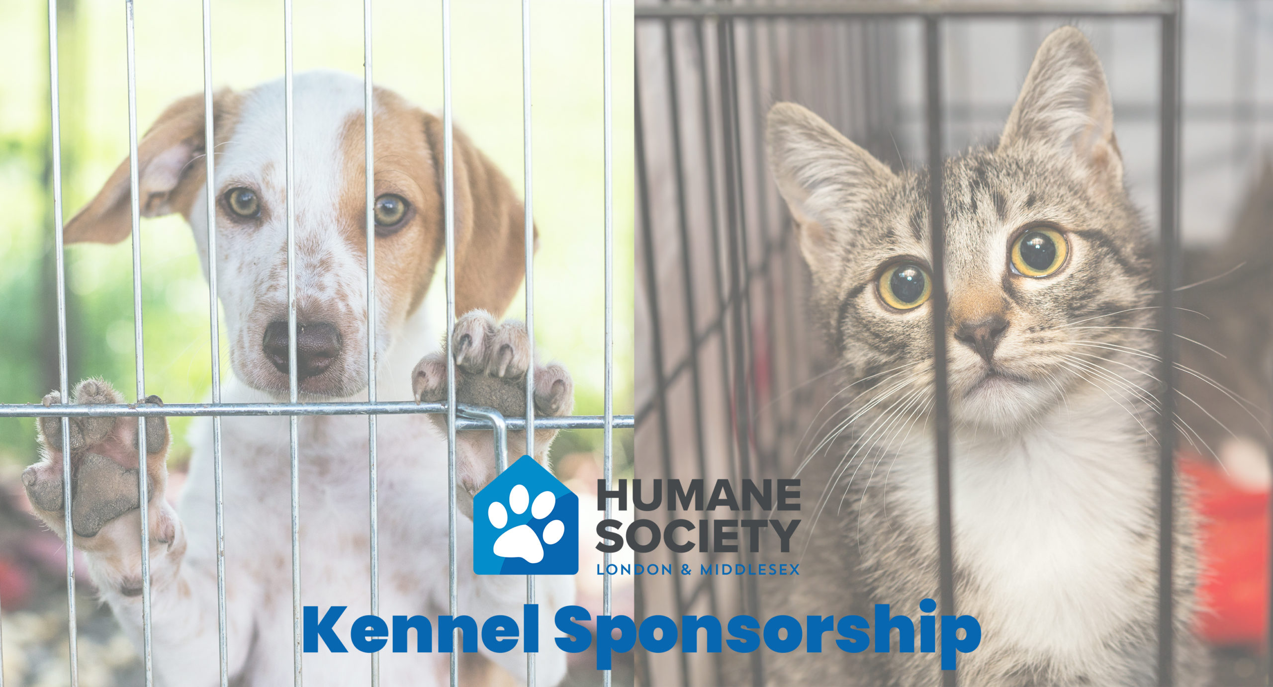 Kennel Sponsors Humane Society London & Middlesex