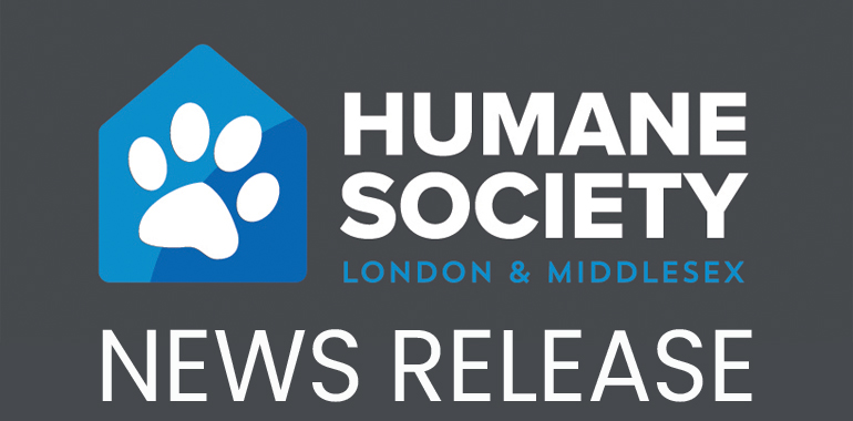 News Release: 88 Cats Surrendered to Humane Society London & Middlesex