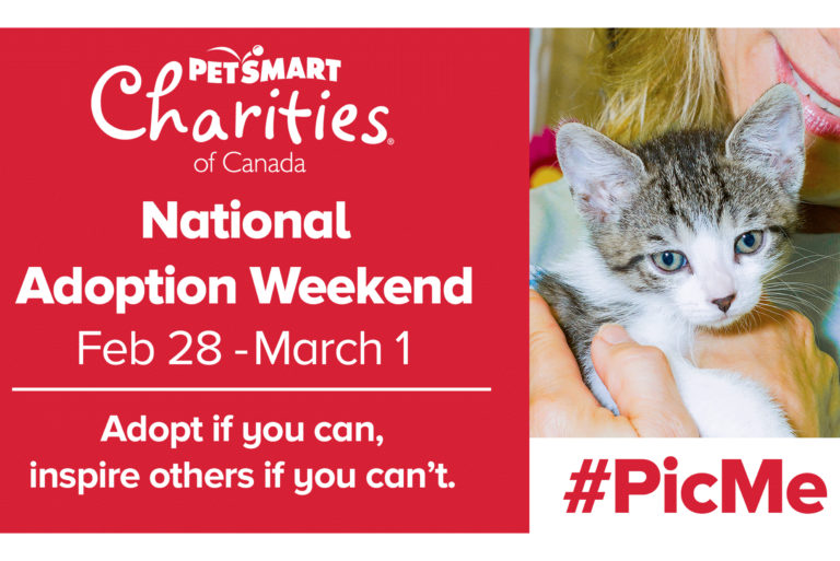 PetSmart Charities National Adoption Weekend Humane Society London