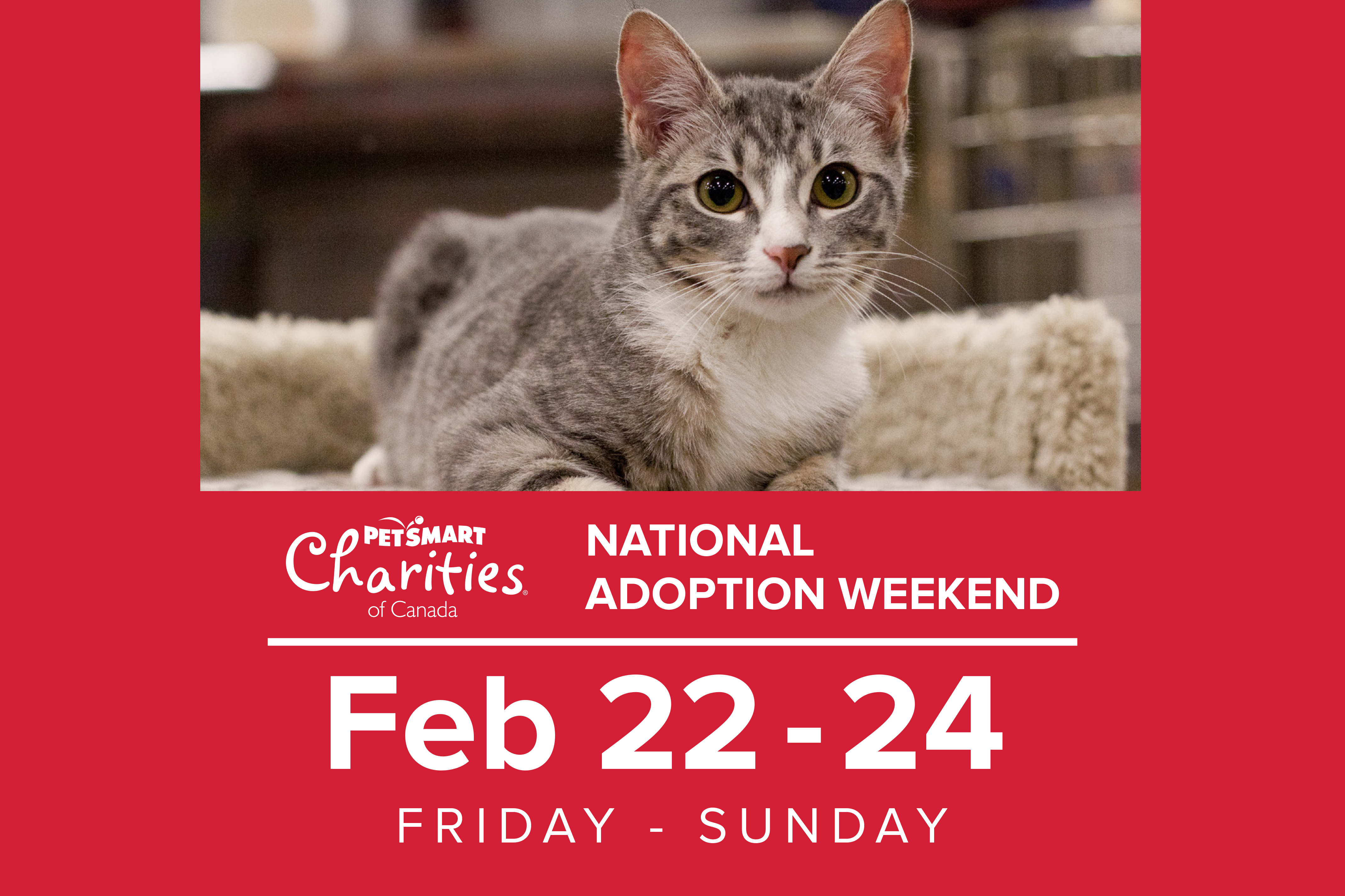 PetSmart Charities® National Adoption Weekend Humane Society London