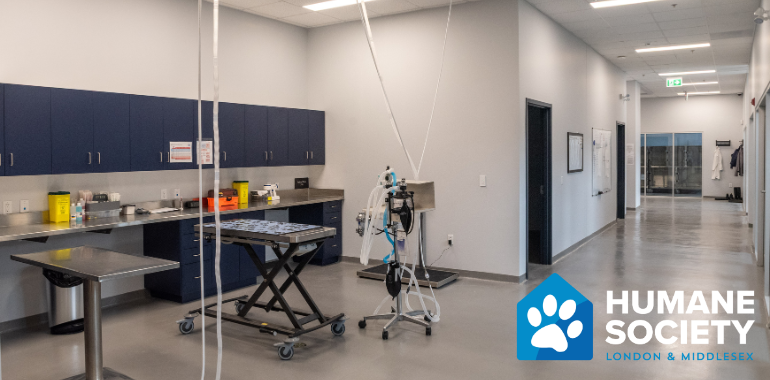 Humane Society London & Middlesex Opens First-Ever Accredited On-Site Veterinary Clinic