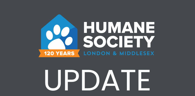Update on Thirty (30) Dogs and Puppies Surrendered to HSLM
