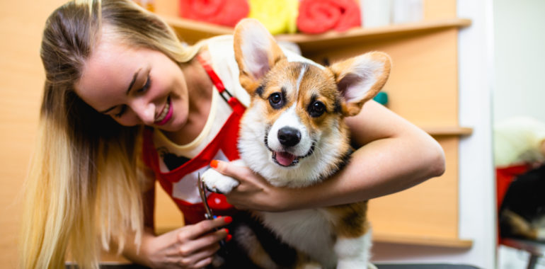 Pet Nail Care: More Important Than You May Think