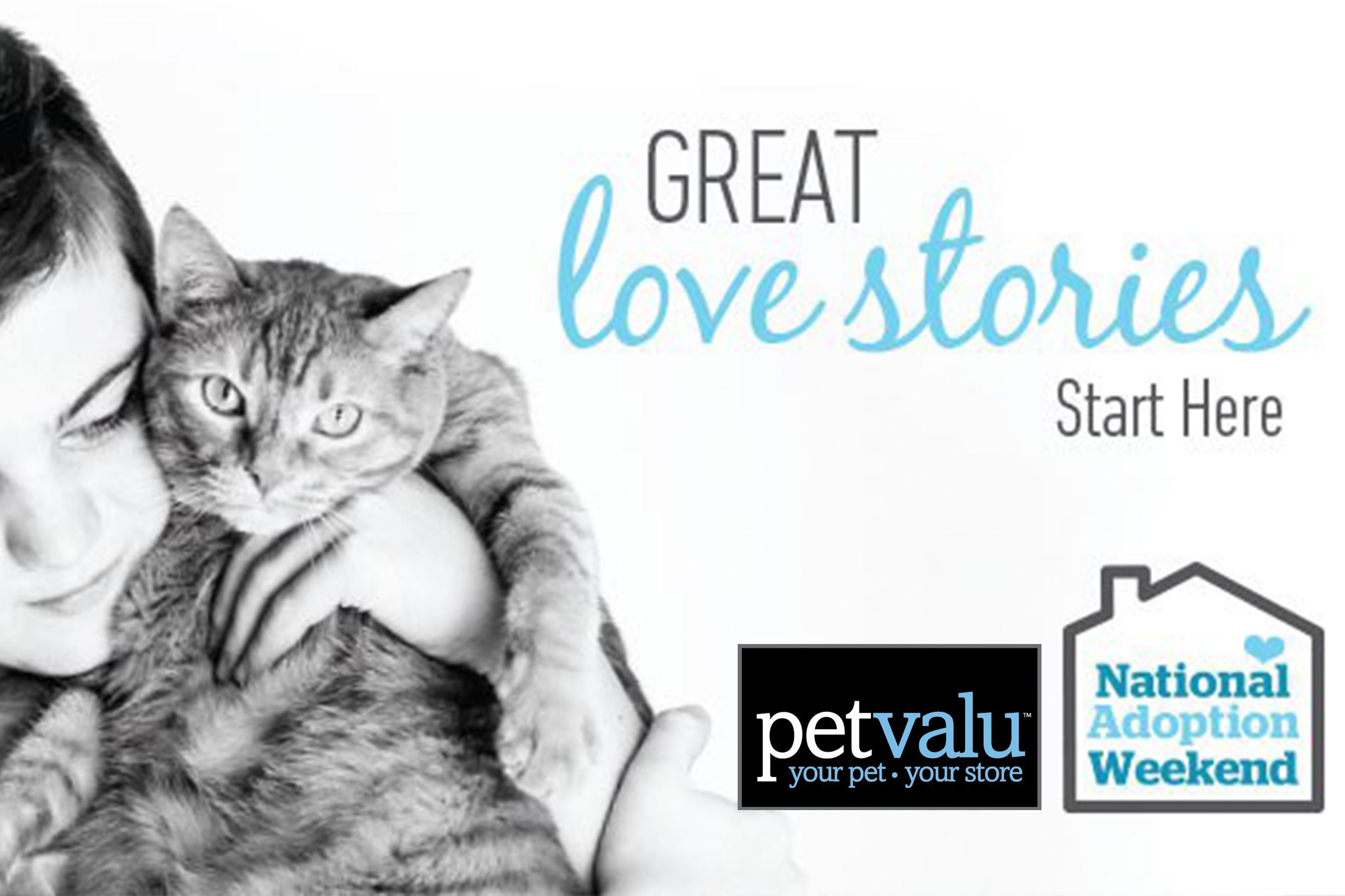 pet valu kittens for adoption