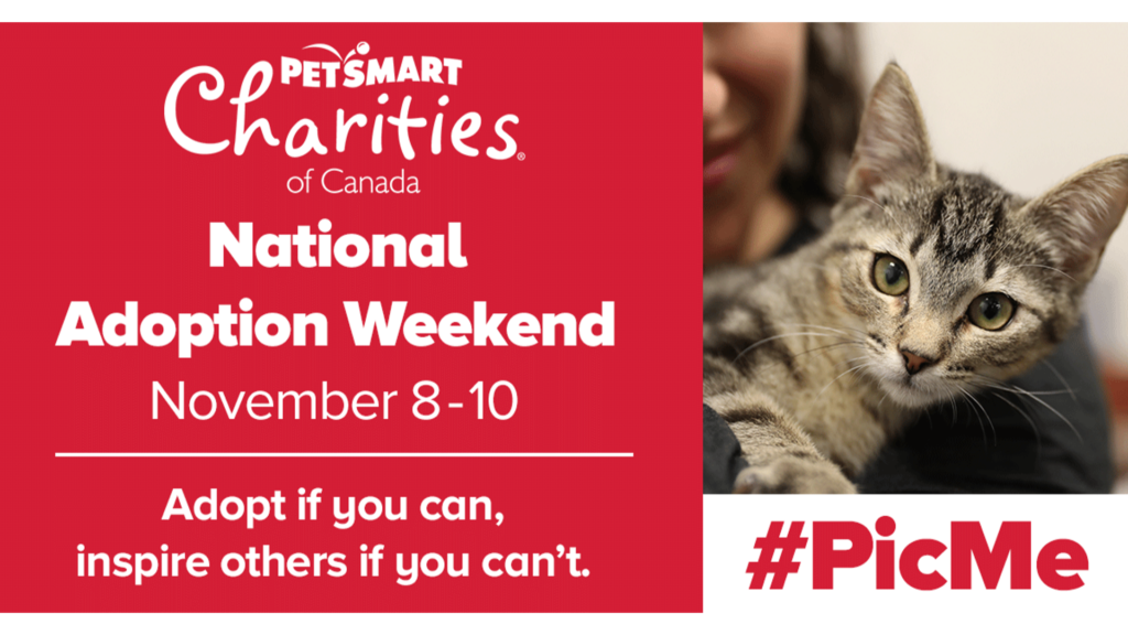 PetSmart Charities National Adoption Weekend Humane Society London